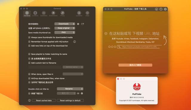 苹果版视频下载器下载ios网页视频下载工具-第2张图片-太平洋在线下载