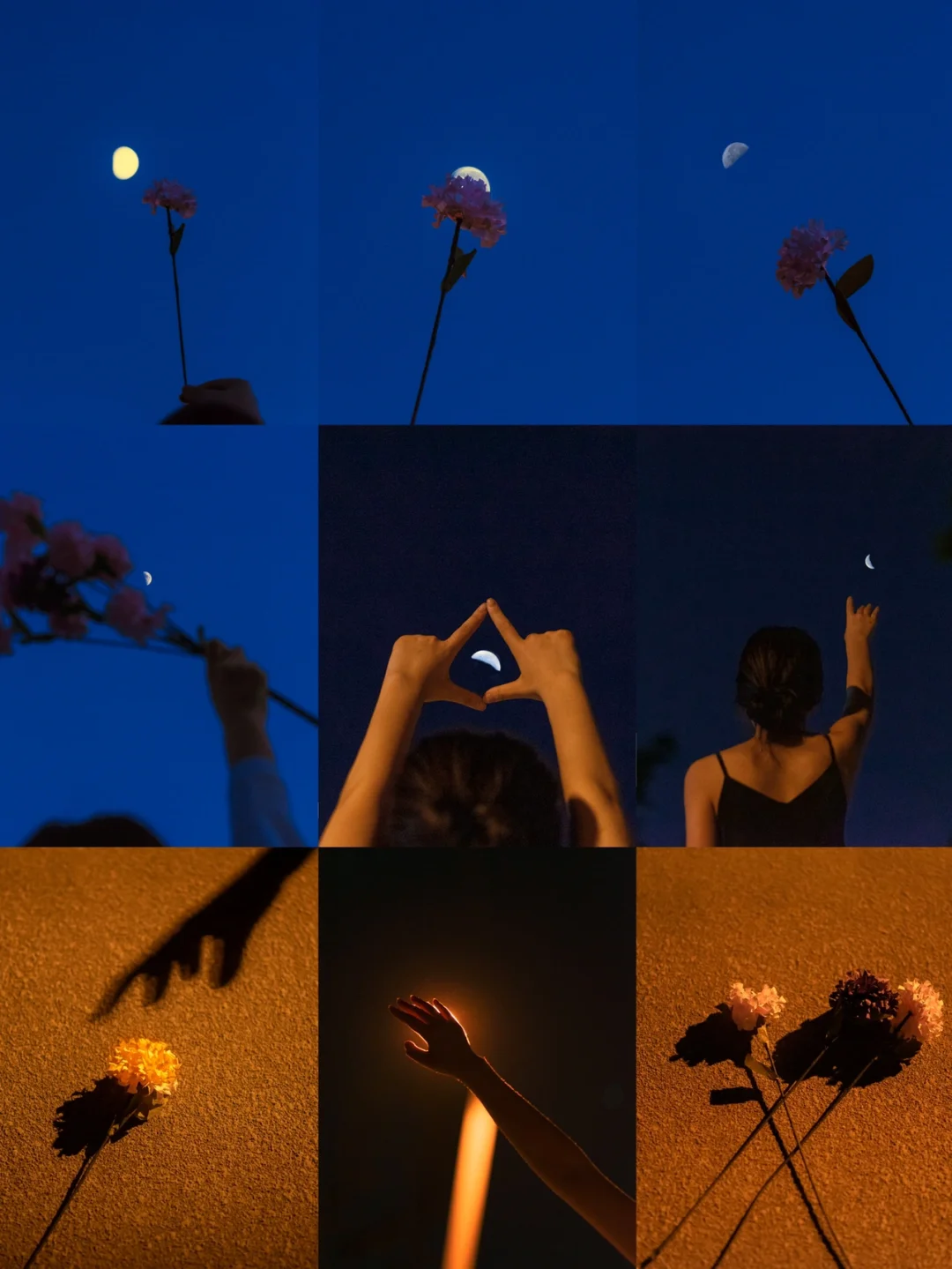 花语月苹果版樱花校园苹果版-第2张图片-太平洋在线下载