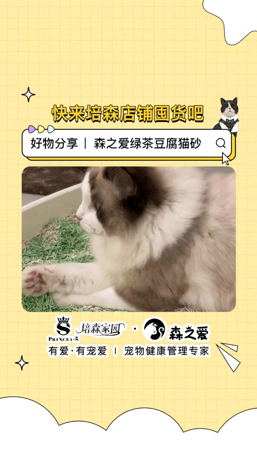 手机版宠物怎么升级最快魔兽世界1级宠物怎么升级-第2张图片-太平洋在线下载
