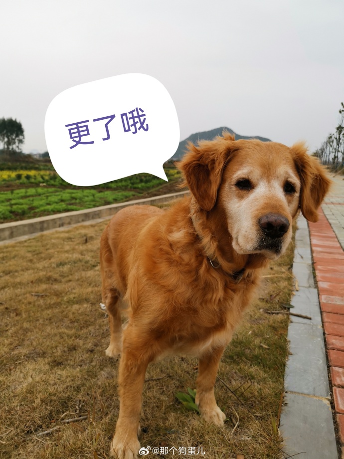 星三好手机版星三好编程软件下载-第2张图片-太平洋在线下载