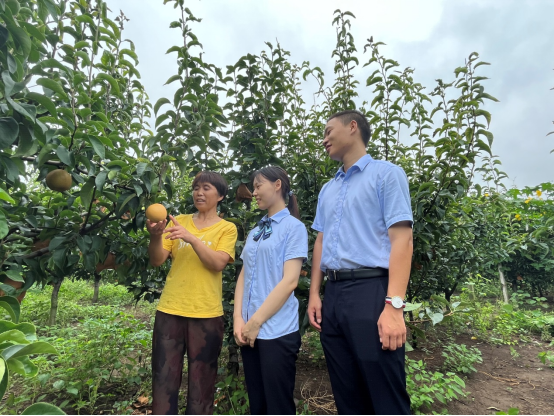 龙广客户端.龙腾商户端App下载