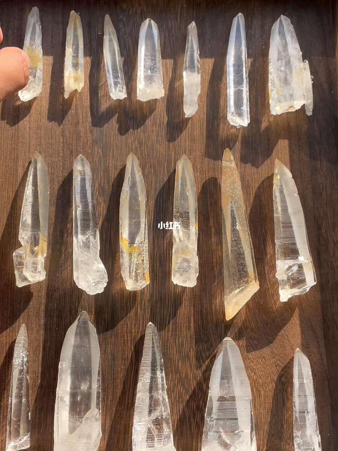 手机版手术刀在哪微创手术刀多少钱一把-第2张图片-太平洋在线下载
