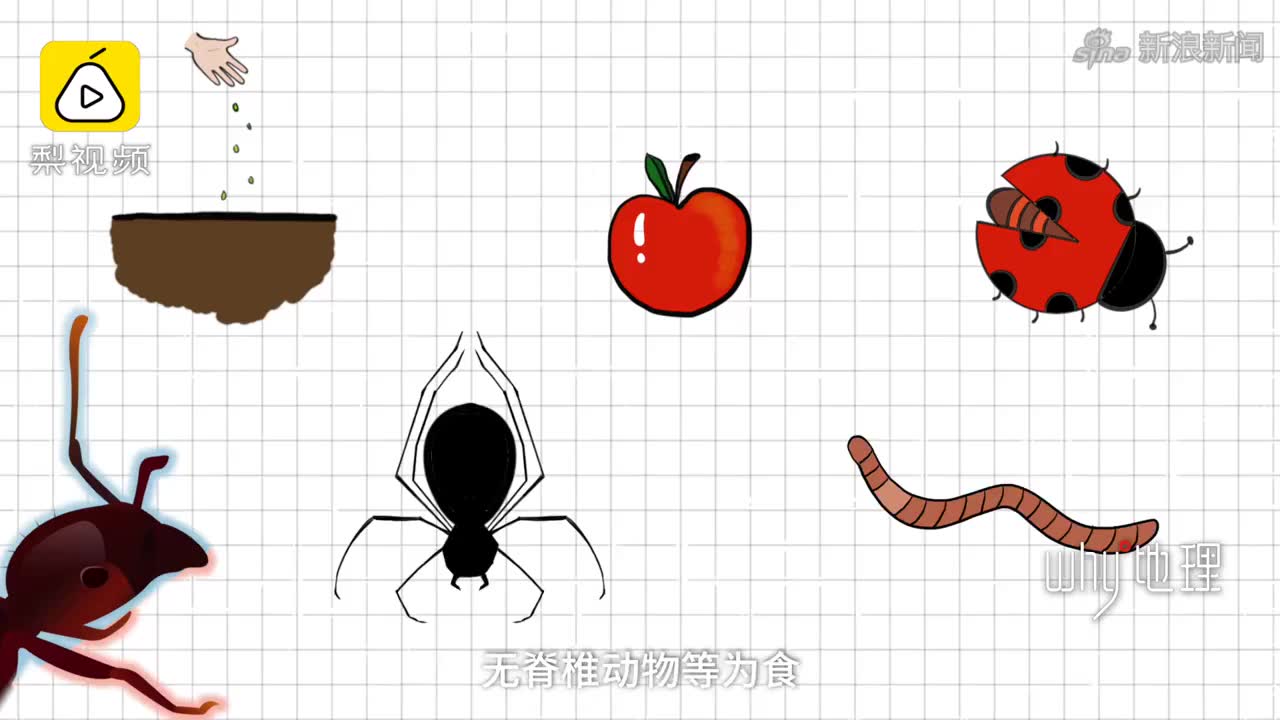 超级物种app苹果版app大全免费下载苹果-第2张图片-太平洋在线下载