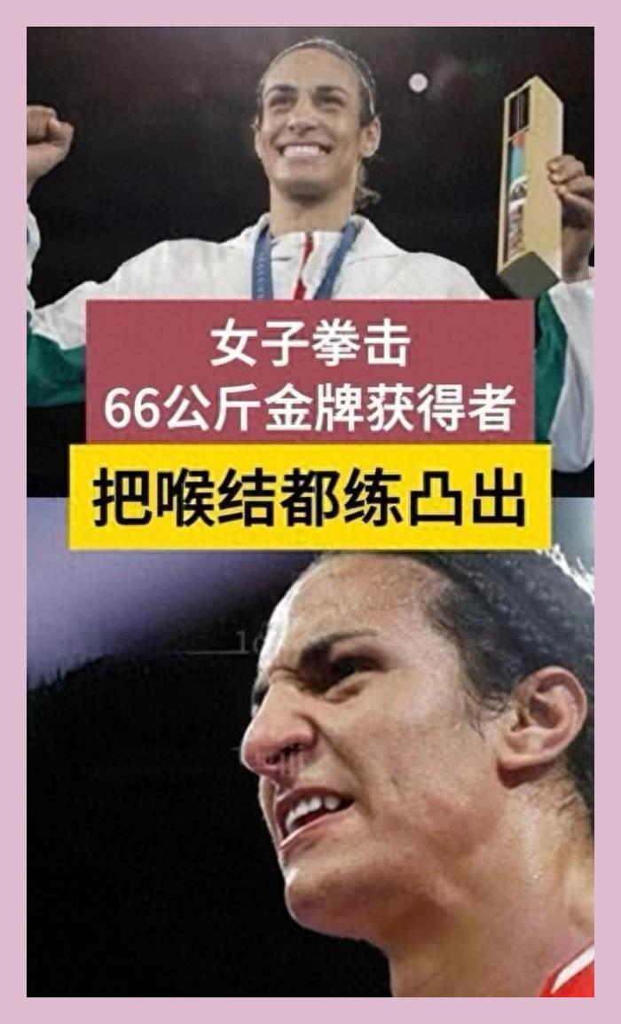 手机版怎样解锁超级拳击ufc终极格斗手游破解版-第2张图片-太平洋在线下载