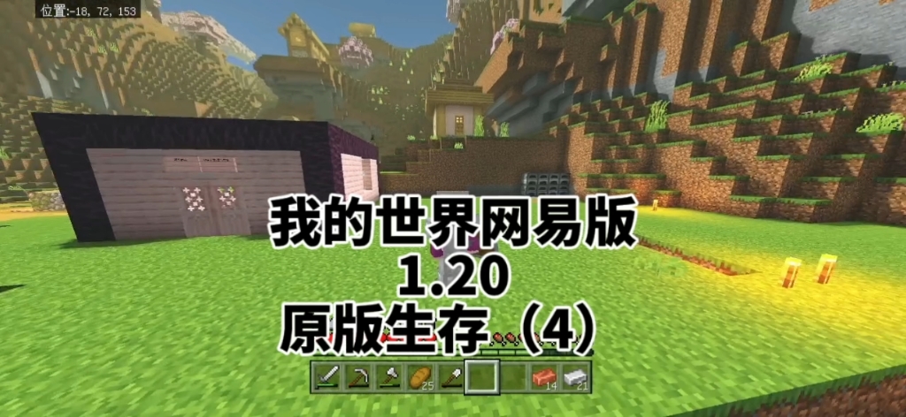 Mc手机版生存最佳种子我的世界手机版种子推荐适合生存