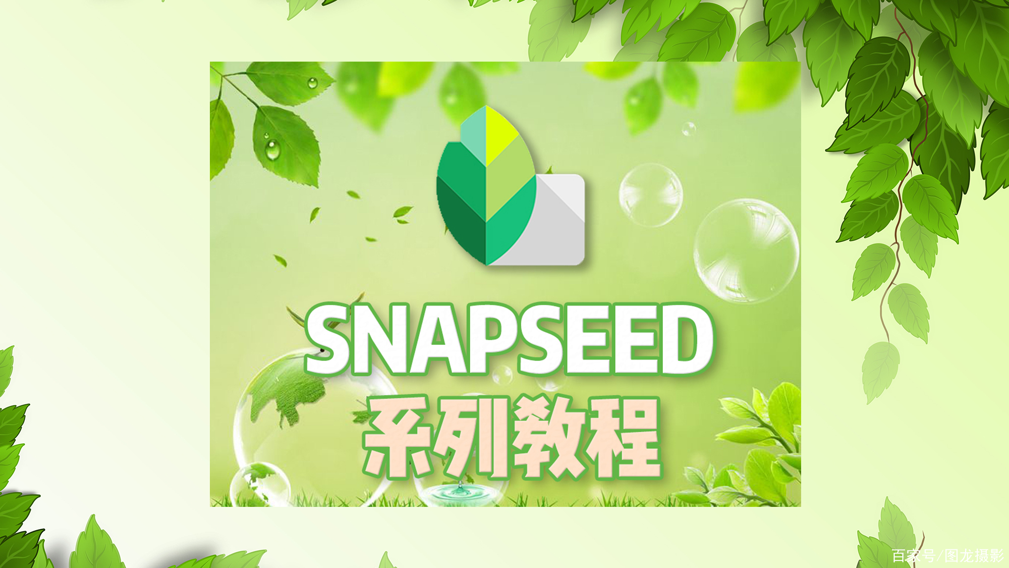 snapseed软件安卓版snapseed软件安装官方最新版本-第2张图片-太平洋在线下载