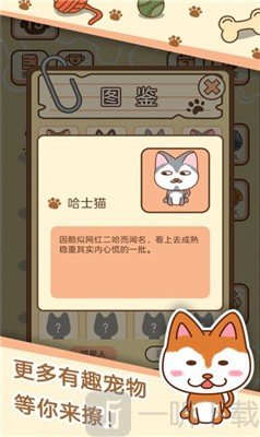 冲击宠物安卓版养只宠物球手机版在线玩-第2张图片-太平洋在线下载