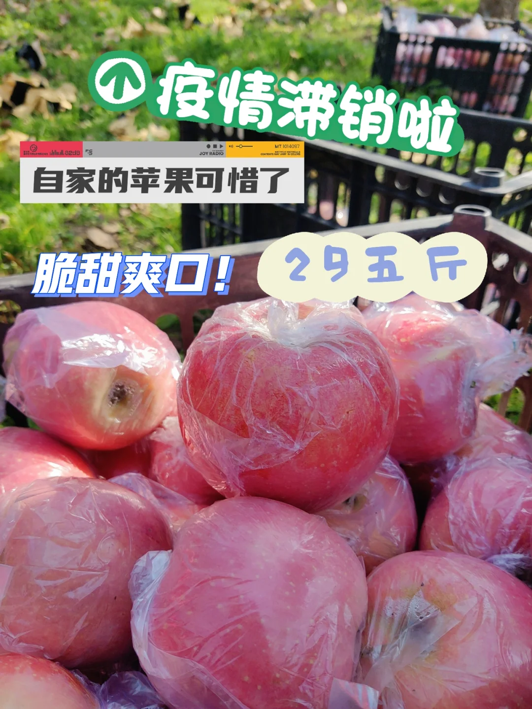 发了么苹果版抖音苹果版下载-第2张图片-太平洋在线下载