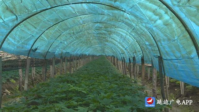 可喜安客户端app可喜安下载中心官方网站