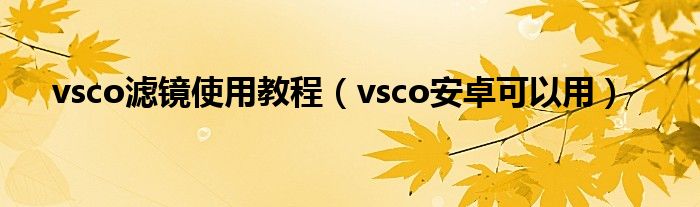 安卓版vsco登录不了vsco如何跳过登录直接使用-第1张图片-太平洋在线下载