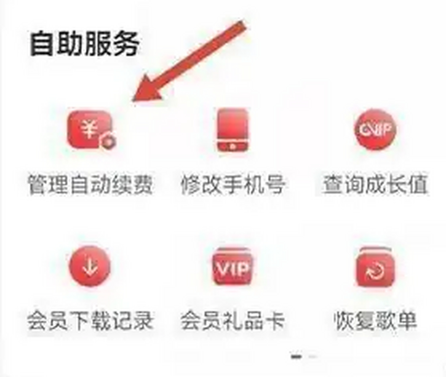 网易云客户端页面网易云电脑官网入口网页版