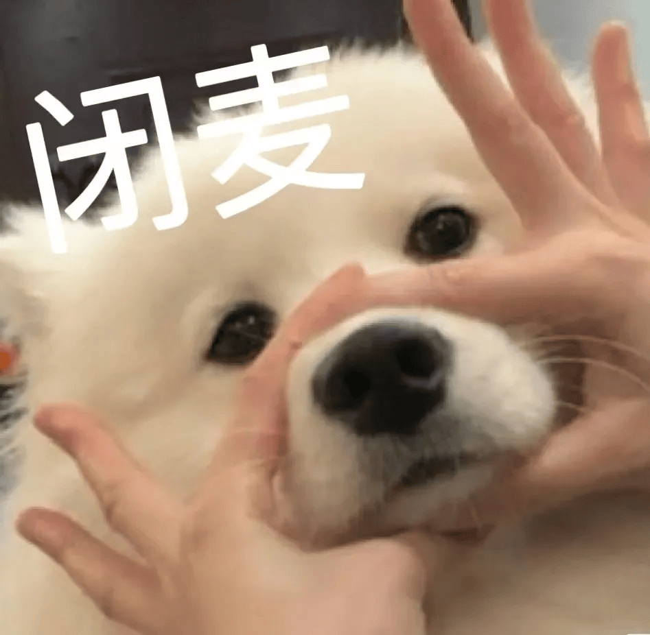 兼职狗客户端广告挂机刷广告赚钱软件-第2张图片-太平洋在线下载