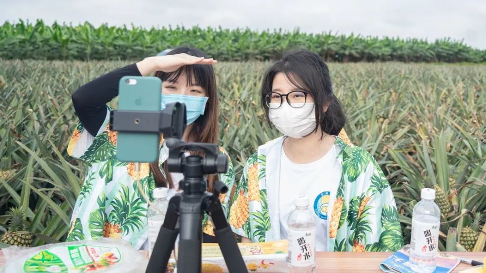 凤梨直播安卓版羽禾直播apk电视版香港台-第2张图片-太平洋在线下载