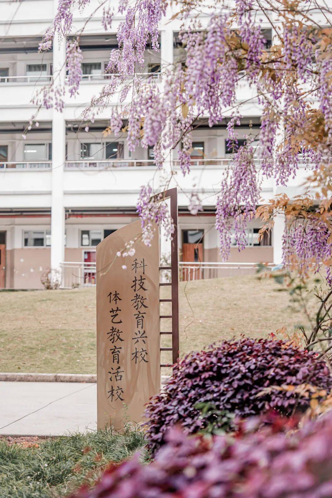 校园居手机版校园居小说网手机版