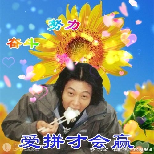 爱拼客户端爱拼助手官方
