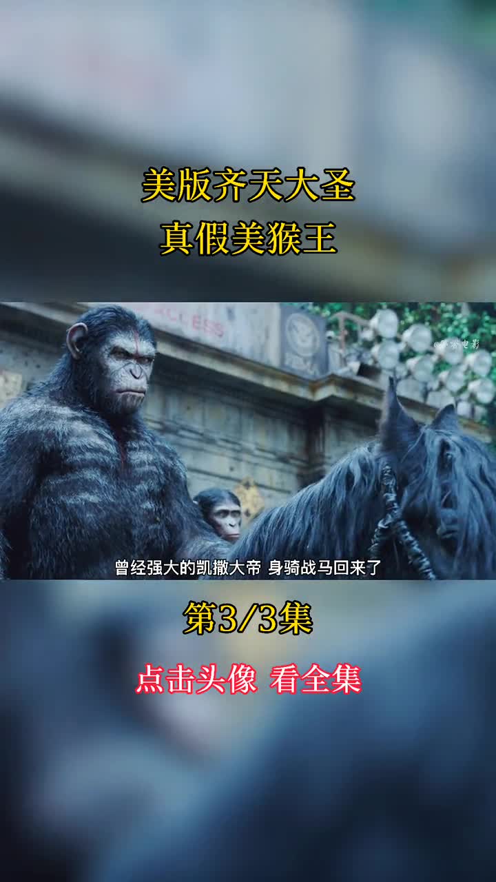八哥手机版电影八哥电视手机剧网