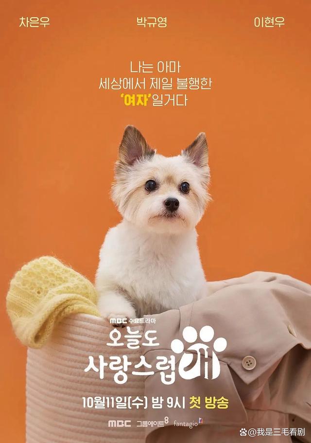 手机版电视狗直播狗电视版apk下载官网