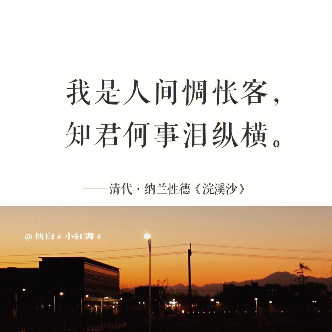 诗词纵横苹果版第七大道神曲h5官网网页版-第2张图片-太平洋在线下载