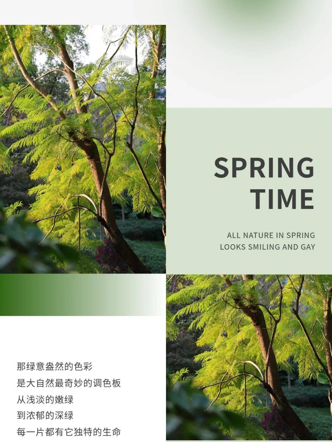 极简助手手机版极简助手手机版下载-第2张图片-太平洋在线下载